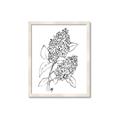 Picture of Panicle Hydrangea Drawing _GroupedProduct_Rectangle_Portrait_Framed_Matted_