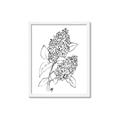 Picture of Panicle Hydrangea Drawing _GroupedProduct_Rectangle_Portrait_Framed_Matted_