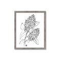 Picture of Panicle Hydrangea Drawing _GroupedProduct_Rectangle_Portrait_Framed_Matted_