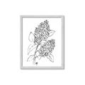 Picture of Panicle Hydrangea Drawing _GroupedProduct_Rectangle_Portrait_Framed_Matted_