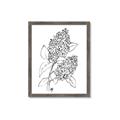 Picture of Panicle Hydrangea Drawing _GroupedProduct_Rectangle_Portrait_Framed_Matted_
