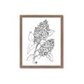 Picture of Panicle Hydrangea Drawing _GroupedProduct_Rectangle_Portrait_Framed_Matted_