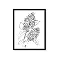 Picture of Panicle Hydrangea Drawing _GroupedProduct_Rectangle_Portrait_Framed_Matted_