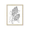 Picture of Panicle Hydrangea Drawing _GroupedProduct_Rectangle_Portrait_Framed_Matted_