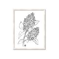 Picture of Panicle Hydrangea Drawing _GroupedProduct_Rectangle_Portrait_Framed_Matted_