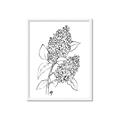 Picture of Panicle Hydrangea Drawing _GroupedProduct_Rectangle_Portrait_Framed_Matted_