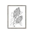 Picture of Panicle Hydrangea Drawing _GroupedProduct_Rectangle_Portrait_Framed_Matted_