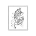 Picture of Panicle Hydrangea Drawing _GroupedProduct_Rectangle_Portrait_Framed_Matted_