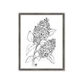 Picture of Panicle Hydrangea Drawing _GroupedProduct_Rectangle_Portrait_Framed_Matted_