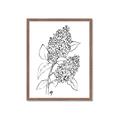 Picture of Panicle Hydrangea Drawing _GroupedProduct_Rectangle_Portrait_Framed_Matted_