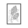 Picture of Panicle Hydrangea Drawing _GroupedProduct_Rectangle_Portrait_Framed_Matted_