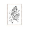 Picture of Panicle Hydrangea Drawing _GroupedProduct_Rectangle_Portrait_Framed_Matted_