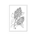 Picture of Panicle Hydrangea Drawing _GroupedProduct_Rectangle_Portrait_Framed_Matted_