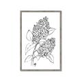Picture of Panicle Hydrangea Drawing _GroupedProduct_Rectangle_Portrait_Framed_Matted_