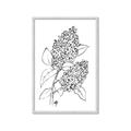 Picture of Panicle Hydrangea Drawing _GroupedProduct_Rectangle_Portrait_Framed_Matted_