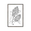 Picture of Panicle Hydrangea Drawing _GroupedProduct_Rectangle_Portrait_Framed_Matted_