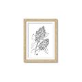 Picture of Panicle Hydrangea Drawing _GroupedProduct_Rectangle_Portrait_Framed_Matted_
