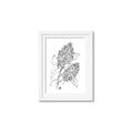 Picture of Panicle Hydrangea Drawing _GroupedProduct_Rectangle_Portrait_Framed_Matted_