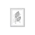 Picture of Panicle Hydrangea Drawing _GroupedProduct_Rectangle_Portrait_Framed_Matted_