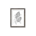 Picture of Panicle Hydrangea Drawing _GroupedProduct_Rectangle_Portrait_Framed_Matted_