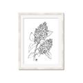 Picture of Panicle Hydrangea Drawing _GroupedProduct_Rectangle_Portrait_Framed_Matted_