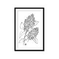 Picture of Panicle Hydrangea Drawing _GroupedProduct_Rectangle_Portrait_Framed_Matted_