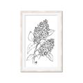 Picture of Panicle Hydrangea Drawing _GroupedProduct_Rectangle_Portrait_Framed_Matted_