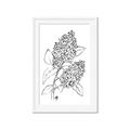 Picture of Panicle Hydrangea Drawing _GroupedProduct_Rectangle_Portrait_Framed_Matted_