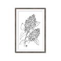 Picture of Panicle Hydrangea Drawing _GroupedProduct_Rectangle_Portrait_Framed_Matted_