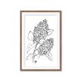 Picture of Panicle Hydrangea Drawing _GroupedProduct_Rectangle_Portrait_Framed_Matted_