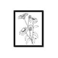 Picture of Daisy Drawing _GroupedProduct_Rectangle_Portrait_Framed_Matted_
