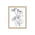 Picture of Daisy Drawing _GroupedProduct_Rectangle_Portrait_Framed_Matted_