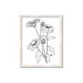 Picture of Daisy Drawing _GroupedProduct_Rectangle_Portrait_Framed_Matted_