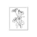 Picture of Daisy Drawing _GroupedProduct_Rectangle_Portrait_Framed_Matted_