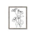 Picture of Daisy Drawing _GroupedProduct_Rectangle_Portrait_Framed_Matted_