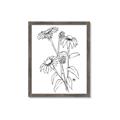 Picture of Daisy Drawing _GroupedProduct_Rectangle_Portrait_Framed_Matted_