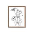 Picture of Daisy Drawing _GroupedProduct_Rectangle_Portrait_Framed_Matted_