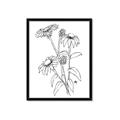 Picture of Daisy Drawing _GroupedProduct_Rectangle_Portrait_Framed_Matted_