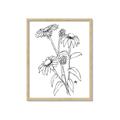 Picture of Daisy Drawing _GroupedProduct_Rectangle_Portrait_Framed_Matted_