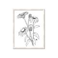 Picture of Daisy Drawing _GroupedProduct_Rectangle_Portrait_Framed_Matted_