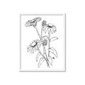 Picture of Daisy Drawing _GroupedProduct_Rectangle_Portrait_Framed_Matted_