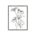 Picture of Daisy Drawing _GroupedProduct_Rectangle_Portrait_Framed_Matted_