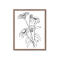 Picture of Daisy Drawing _GroupedProduct_Rectangle_Portrait_Framed_Matted_