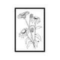 Picture of Daisy Drawing _GroupedProduct_Rectangle_Portrait_Framed_Matted_