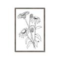 Picture of Daisy Drawing _GroupedProduct_Rectangle_Portrait_Framed_Matted_