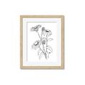 Picture of Daisy Drawing _GroupedProduct_Rectangle_Portrait_Framed_Matted_