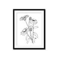 Picture of Daisy Drawing _GroupedProduct_Rectangle_Portrait_Framed_Matted_