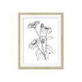 Picture of Daisy Drawing _GroupedProduct_Rectangle_Portrait_Framed_Matted_