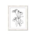 Picture of Daisy Drawing _GroupedProduct_Rectangle_Portrait_Framed_Matted_