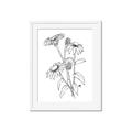 Picture of Daisy Drawing _GroupedProduct_Rectangle_Portrait_Framed_Matted_